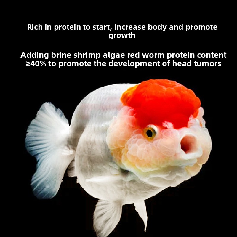 金魚の餌、ランチュとライオンヘッド用の沈下性フィッシュベイビ - Baby Food With Protein のレビューと価格