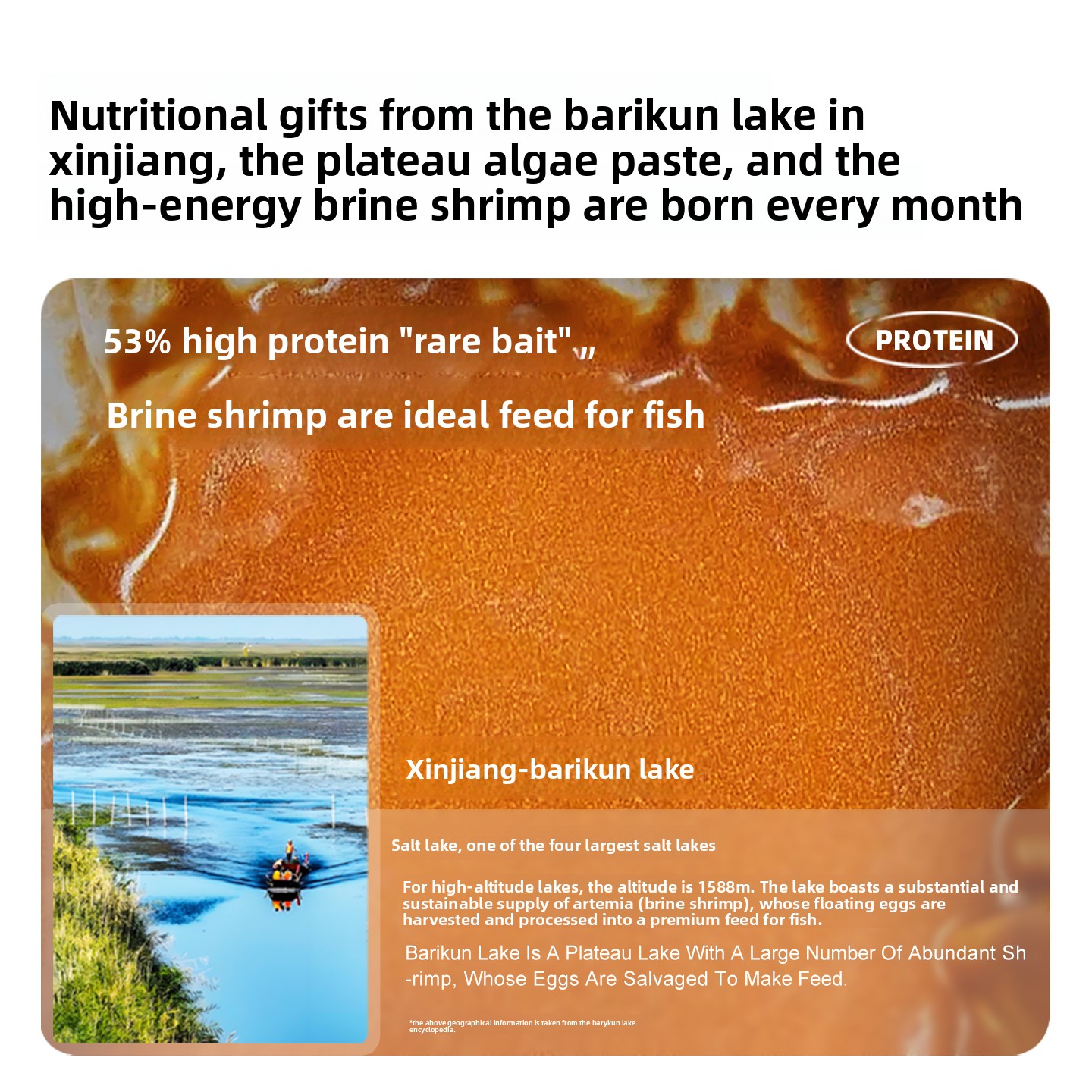 サンキ デカプセル化ブラインシュリンプ（アルテミア）、孵化不 - Baby Food With Protein のレビューと価格