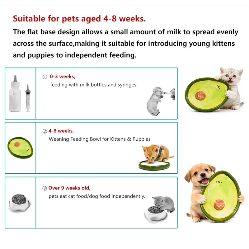 猫用ボウル 子猫用 フードと水入れ用食器 ひげに優しい猫用セ - Baby Food Kitten のレビューと価格
